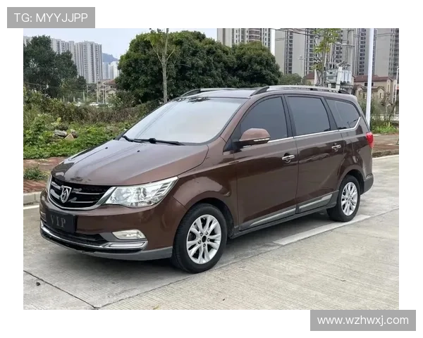 1.2米夫妻回家过年，开“改装”宝骏730，网友：太危险了吧