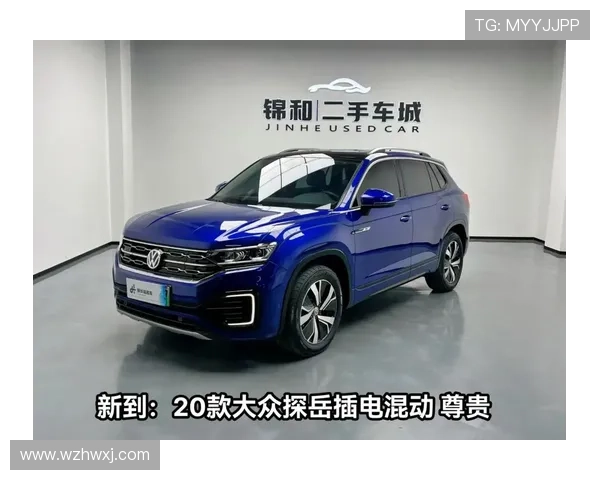 10万指标成乌龙?大众探岳要插电