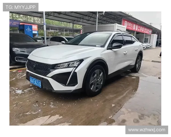 10天2739公里,夫妻俩开着手动标致408,自驾土耳其!