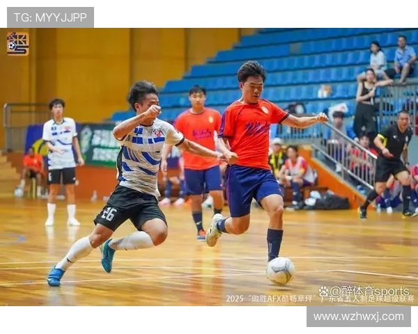 体育职业联赛有哪些（职业体育联盟有哪些）sports